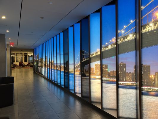 Greenwich Lounge JFK - British Airways & American by null