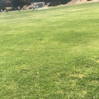 El Divisidero Park - Grass field with soccer field in back. - Parks Near Me - Walnut Creek, California El Divisidero Park - Grass field with soccer field in back. - Parks Near Me - Walnut Creek, California