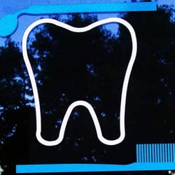 Brad D Graf DDS