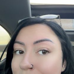 Brow Beauty