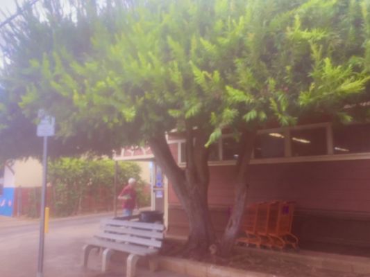 Friendly Market Center by null