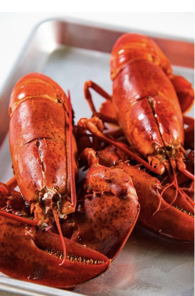 THE PRIME TIME BUTCHER Updated September 2024 21 Photos 6080