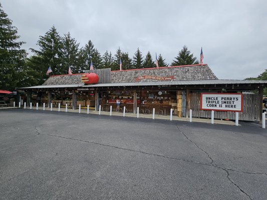 The Famous Tomato by null