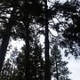 Photo of Big Bear Cabin