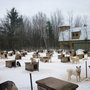 Photo of Aventure Plein Air Inukshuk