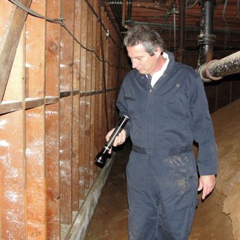 License To Kill Termite & Pest Control - inspecting termites for escrow termite inspection - Pest Control Near Me - El Cajon, California License To Kill Termite & Pest Control - inspecting termites for escrow termite inspection - Pest Control Near Me - El Cajon, California
