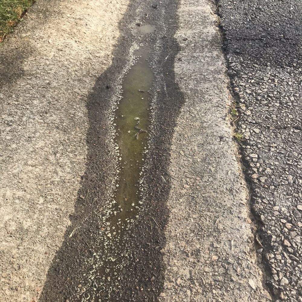 King Green - a puddle of water in the middle of a road - Tree Services Near Me - Gainesville, Georgia King Green - a puddle of water in the middle of a road - Tree Services Near Me - Gainesville, Georgia