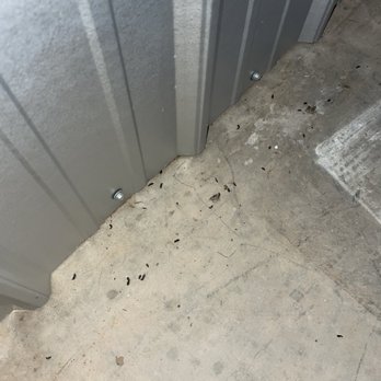 StorageMart - Rodent feces - Self Storage Near Me - Springfield, Missouri