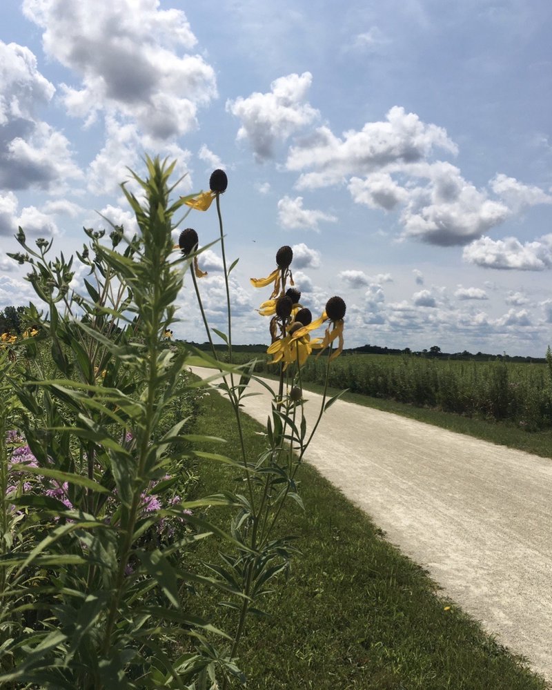 SPRINGBROOK PRAIRIE FOREST PRESERVE 121 Photos & 34 Reviews 83RD Book Rd, Naperville