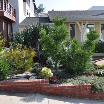 Mostly Native Gardens - One year later and the garden is thriving on rain water alone. - Landscaping Near Me - Encinitas, California Mostly Native Gardens - One year later and the garden is thriving on rain water alone. - Landscaping Near Me - Encinitas, California