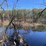 Photo of Arthur Ewell Reservation