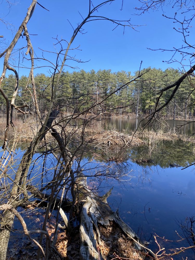 Arthur Ewell Reservation Image
