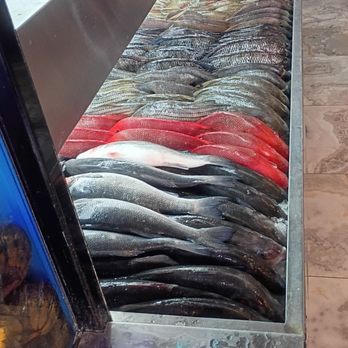 Sabry's - Pick your own fish area - Seafood Near Me - Astoria, New York Sabry's - Pick your own fish area - Seafood Near Me - Astoria, New York