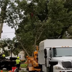 Ax-It Tree Service & Landscaping