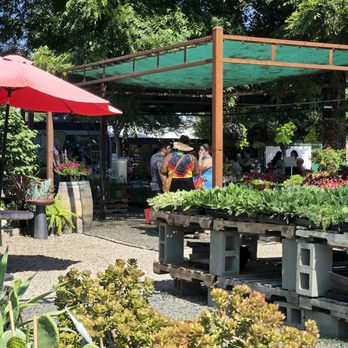 Belmont Nursery - Nursery - Nurseries & Gardening Near Me - Fresno, California Belmont Nursery - Nursery - Nurseries & Gardening Near Me - Fresno, California