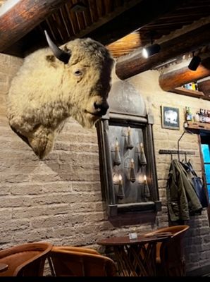 White Buffalo Bar by null