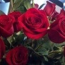 Blossom Shoppe - Just some flowers at the flower shop