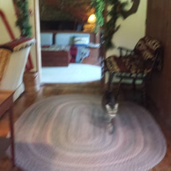 Alpenrose Inn - Cat attack! - Hotels Near Me - Bondville, Vermont
