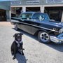 Bayside Auto Repair