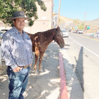Al’s Farrier Services - Just hanging out with my mustang in Virginia City Nevada - Farriers Near Me Al’s Farrier Services - Just hanging out with my mustang in Virginia City Nevada - Farriers Near Me