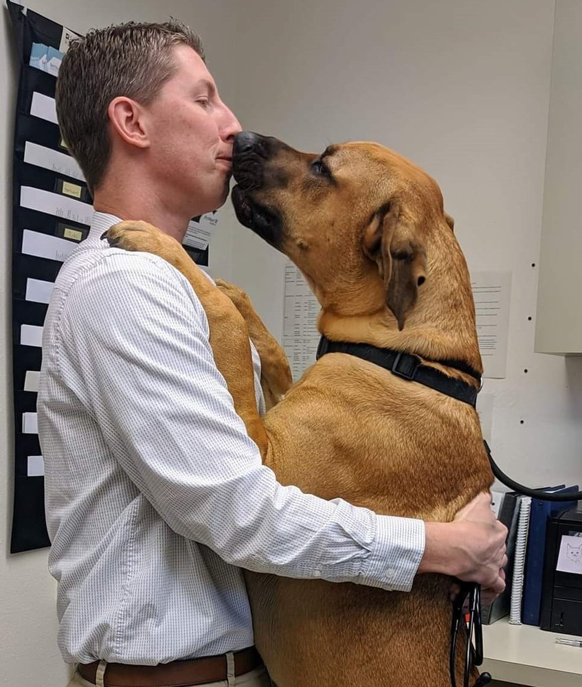 FOUR CORNERS VETERINARY CLINIC Updated July 2024 14 Photos & 43