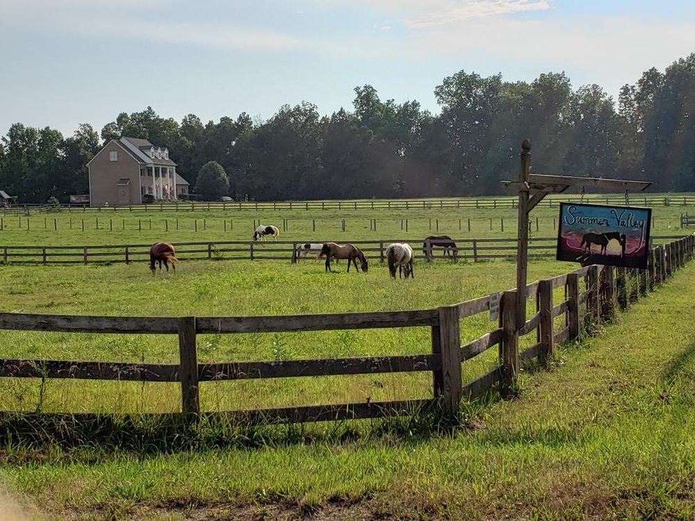 Summer Valley Equestrian Center - equestrian in Chesterfield, VA