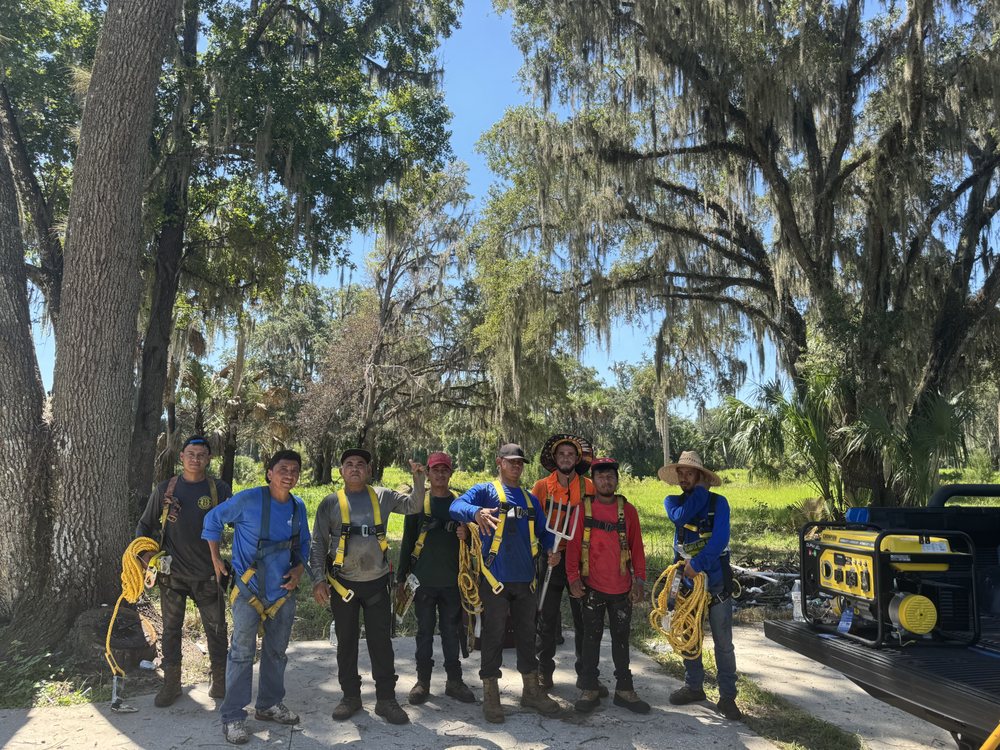 Slide of Alpha R Omega Roofing