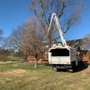 Photo of Canopy Tree Service