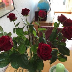 Meisterflorist am Prinz-Emilgarten Britta Boe