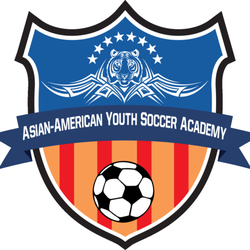 Ace Athletics Youth Soccer Academy