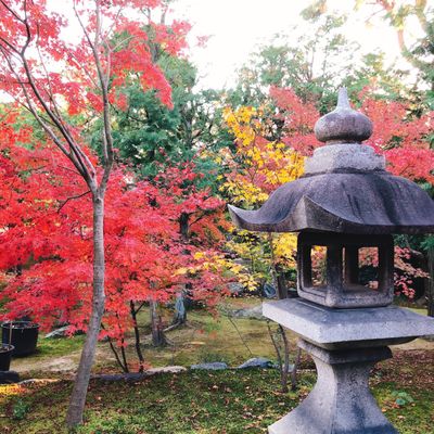 Shōrin-ji Temple by null
