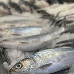 Seafood City Supermarket