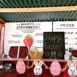 Berryland - The best Strawberries !! Sweet and picked daily...
