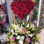 Photo of Camellia's Flowers