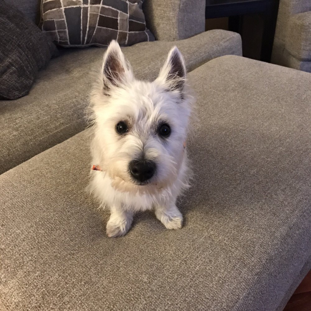 How handsome is he! How handsome is he!