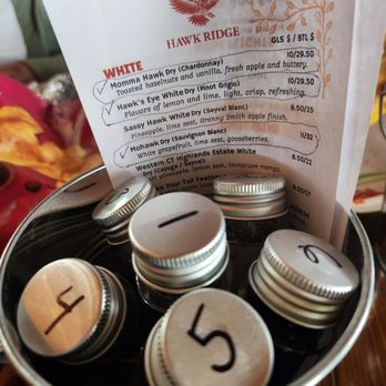Hawk Ridge Winery - Fun way they do tastings! - Wineries Near Me - Watertown, Connecticut