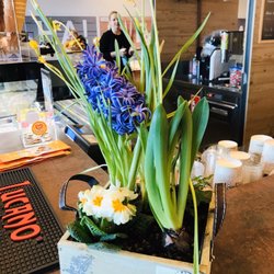 zicaffè - Frühlingsblumen