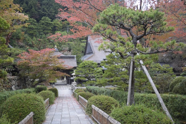 Koyasan Special Head Temple Shojoshin-in by null