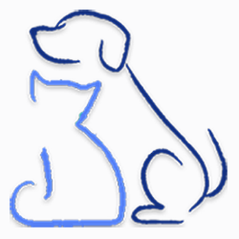 SPA Bêtes VIP - © SPA Bêtes V.I.P. - 2015 - - Pet Groomers Near Me - Montreal, Quebec