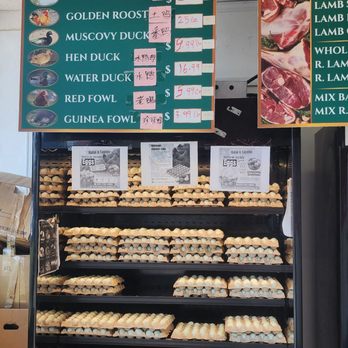 Halal N Tayebn - Organic cage free eggs - Meat Shops Near Me - Queens, New York Halal N Tayebn - Organic cage free eggs - Meat Shops Near Me - Queens, New York