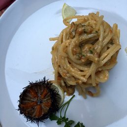Sea urchin pasta Sea urchin pasta