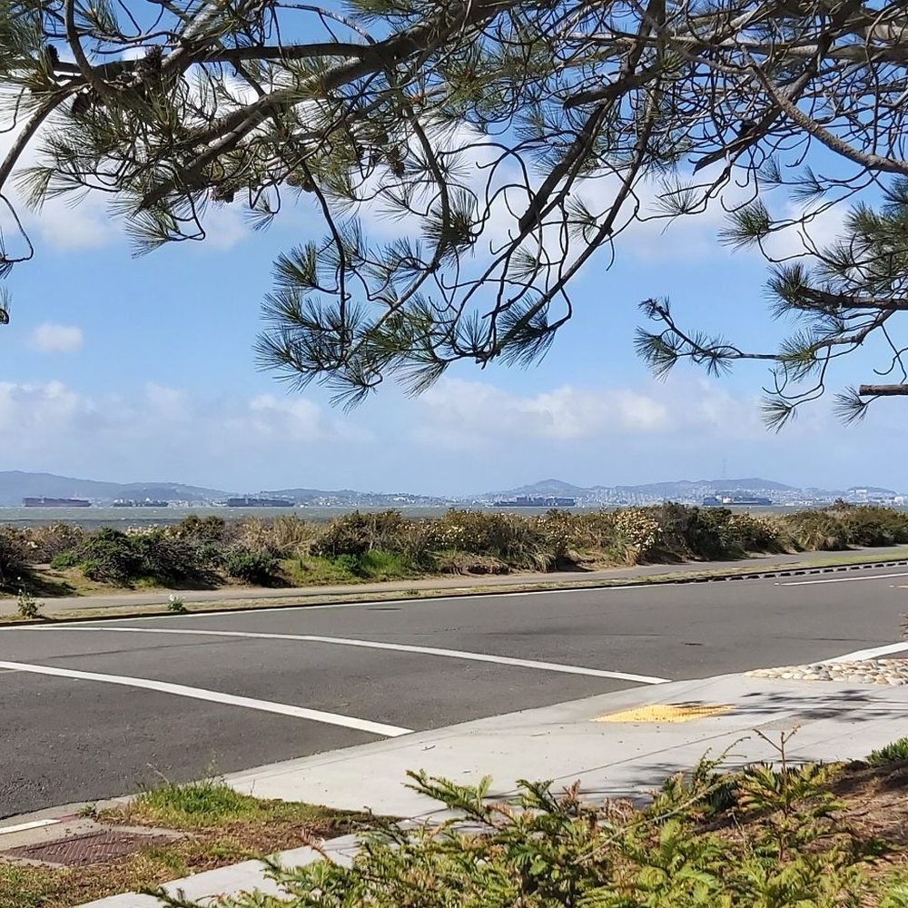Alameda Beach - Never get used to the views (those are cargo ships out there. Port of Oakland is backed up) - Beaches Near Me - Alameda, California