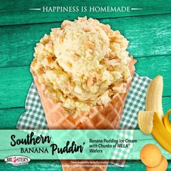 Bruster's Real Ice Cream - Southern Banana Puddin flavor
