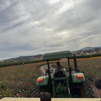 Spina Farms - Hay ride - Farmers Market Near Me - Morgan Hill, California Spina Farms - Hay ride - Farmers Market Near Me - Morgan Hill, California