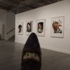 Jordan Schnitzer Museum of Art at PSU gift card