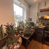 City Planter gift card
