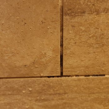The Waterfront Inn - Shower tile, floor, carpet very dirty - Hotels Near Me - The Villages, Florida The Waterfront Inn - Shower tile, floor, carpet very dirty - Hotels Near Me - The Villages, Florida