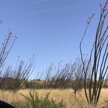 Madera Canyon - Public Services & Government Near Me