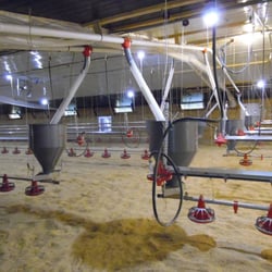 Strawberry Poultry Supply - Choretime products installed by Strawberry Poultry Supply