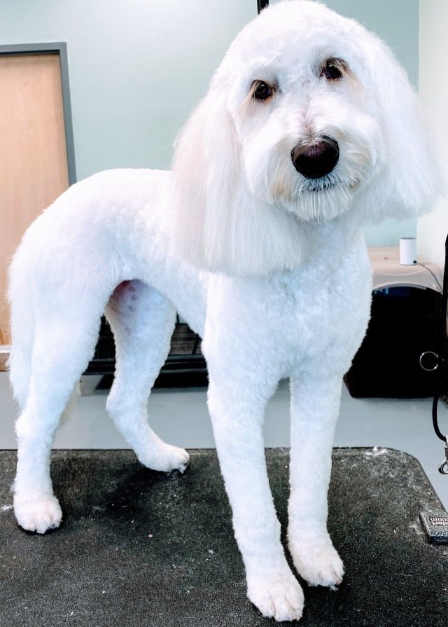 THE ROYAL S’PAW Updated October 2024 27 Photos & 19 Reviews 2100 E Fairview Ave, Meridian